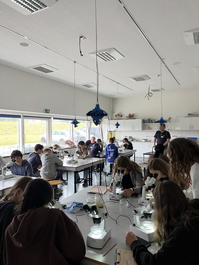 Schüler im Biologielabor arbeiten an Mikroskopen an Gruppentischen, Lehrkraft steht vorne.