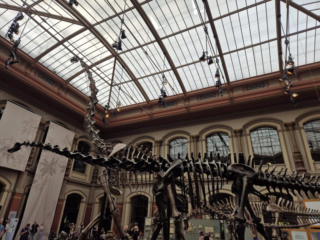 Saurierskelett in großem Museumssaal unter gewölbtem Glasdach mit hängenden Scheinwerfern