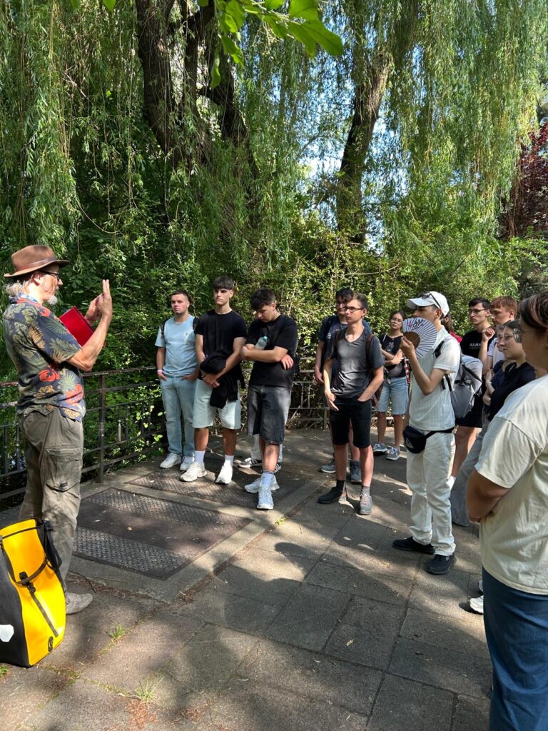 Jugendgruppe hört einem älteren Führer unter hängenden Weidenzweigen in einem schattigen Park aufmerksam zu